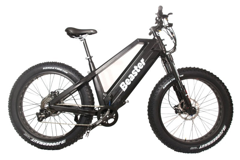Elektrinis dviratis Beaster BS1100, 160 Nm, 2x (48 V, 15 Ah), juodas