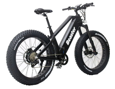 Elektrinis dviratis Beaster BS1100, 160 Nm, 2x (48 V, 15 Ah), juodas