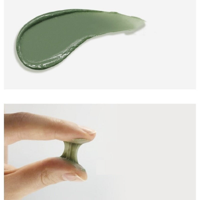 Poras valantis prausiklis Holika Holika Pure Essence Mugwort Foam Cleanser HH20018821, 150 ml