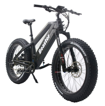 Elektrinis dviratis Beaster BS1100, 160 Nm, 2x (48 V, 15 Ah), juodas