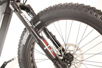 Elektrinis dviratis Beaster BS1100, 160 Nm, 2x (48 V, 15 Ah), juodas