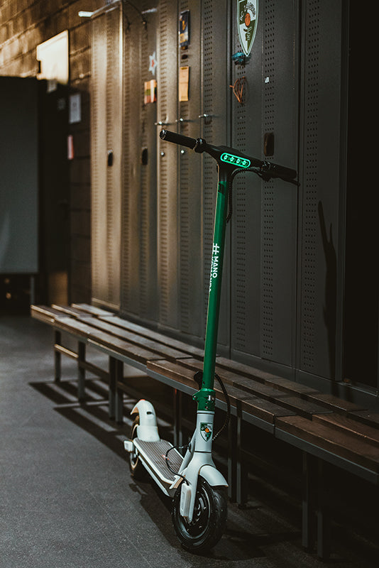 Elektrinis paspirtukas Beaster Scooter BSZAL 350 W, 36 V, 8 Ah