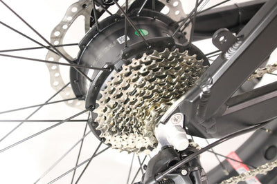 Elektrinis dviratis Beaster BS1100, 160 Nm, 2x (48 V, 15 Ah), juodas