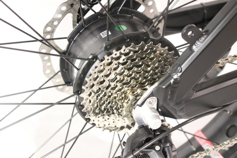 Elektrinis dviratis Beaster BS1100, 160 Nm, 2x (48 V, 15 Ah), juodas