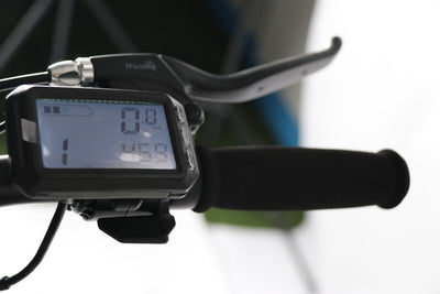 Elektrinis paspirtukas Beaster Scooter BS53ST, 1600 W, 48 V, 20,8 Ah, diskiniai stabdžiai, skirtas bekelei