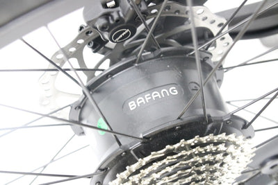 Elektrinis dviratis Beaster BS1100, 160 Nm, 2x (48 V, 15 Ah), juodas