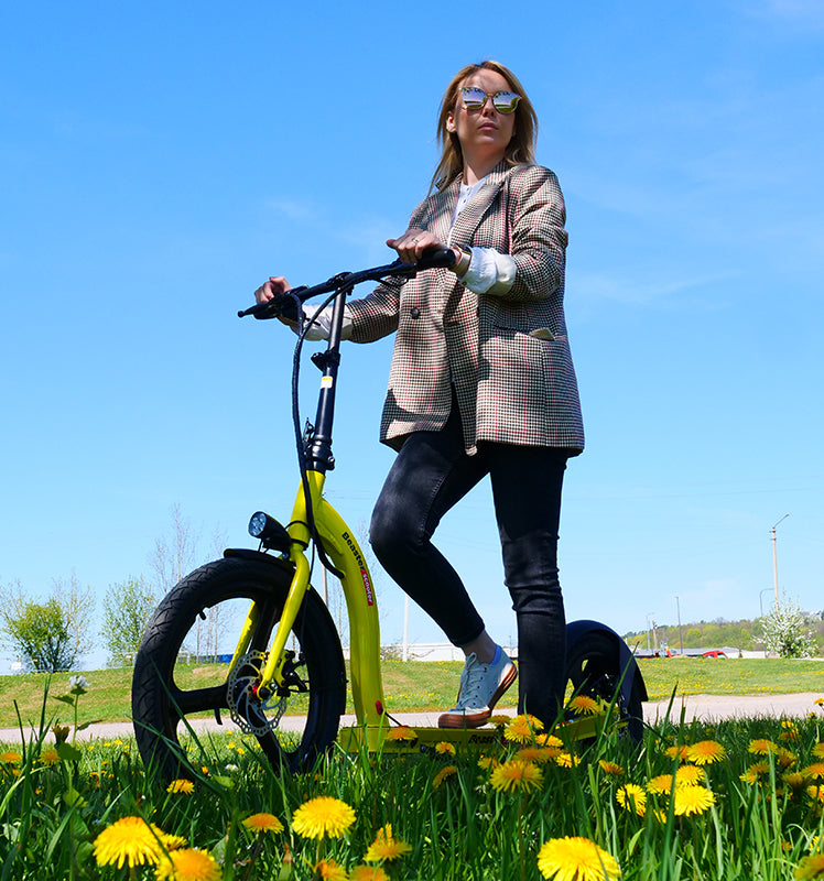 Elektrinis paspirtukas Beaster Scooter VOYAGER, 350 W, 36 V, 10 Ah, geltonas