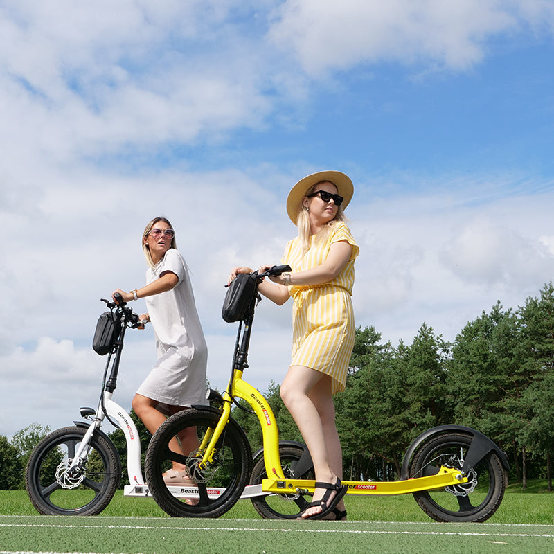 Elektrinis paspirtukas Beaster Scooter VOYAGER, 350 W, 36 V, 10 Ah, geltonas