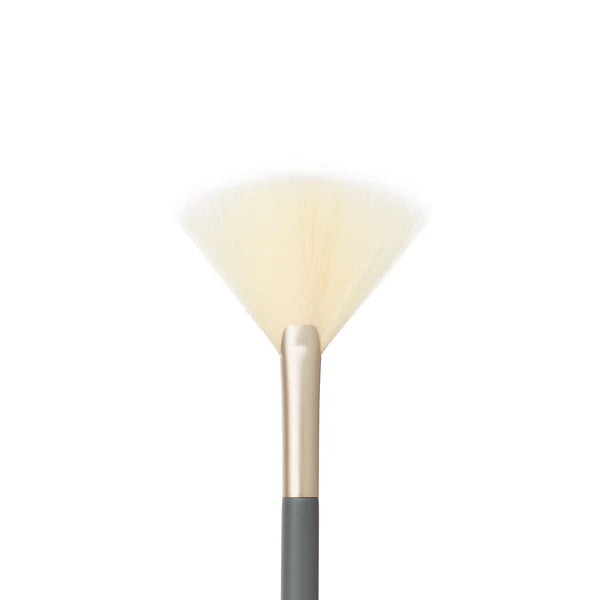 Jane Iredale šepetėlis sausiems produktams Fan Brush