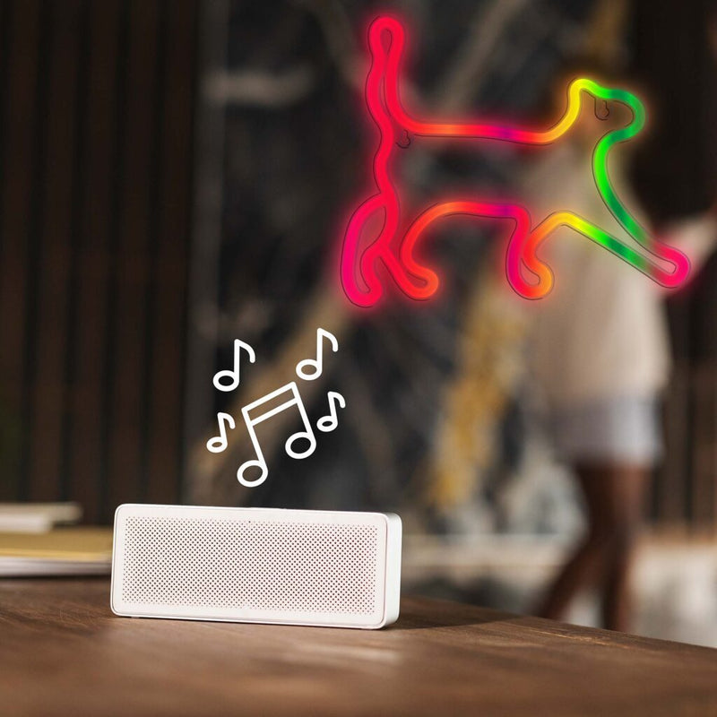 Manta SNL60RGB Style Neon Lights CAT