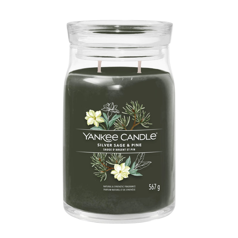 Yankee Silver Sage & Pine Large Jar kvapioji žvakė 567 g