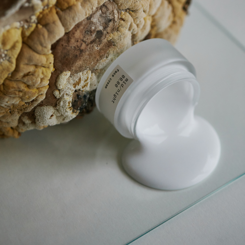 Mid/night 00.00 00.23 Face Cream Veido kremas, 50ml