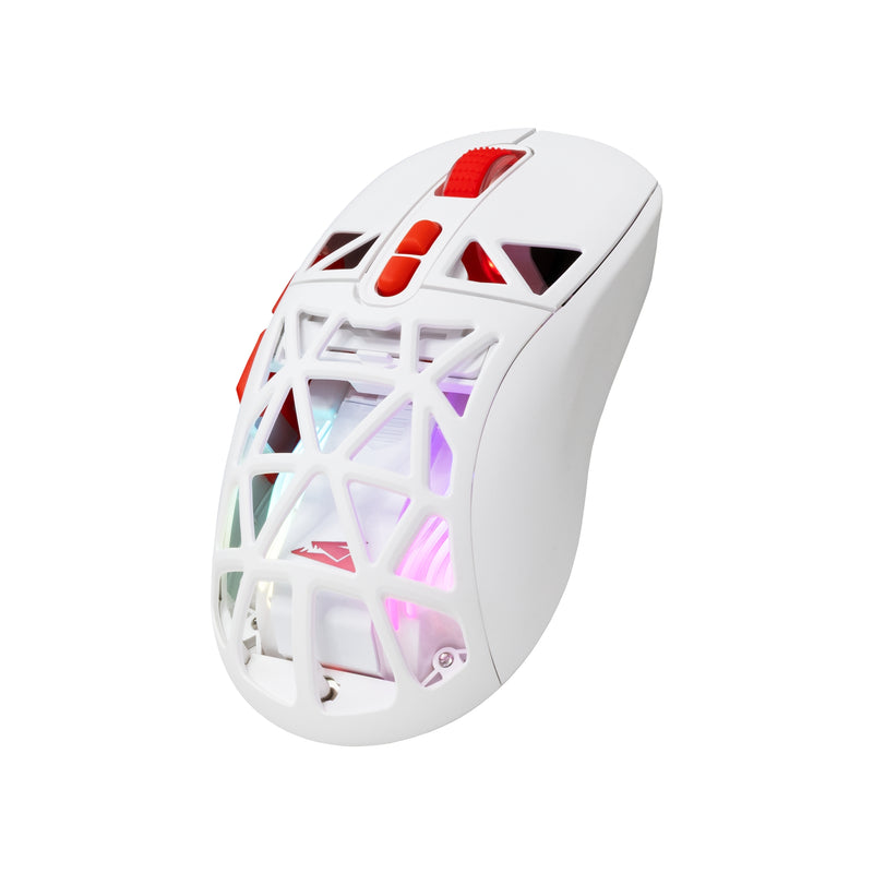 Baracuda BGM-092 Seal White