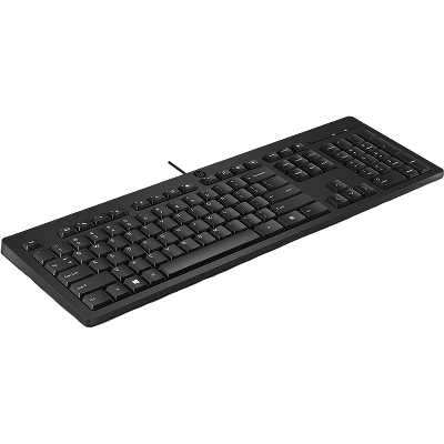 HP 125 G2 USB Wired Keyboard, Sanitizable, Copilot Key - Black - US ENG