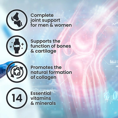 VP Laboratory Absolute Joint 400g
