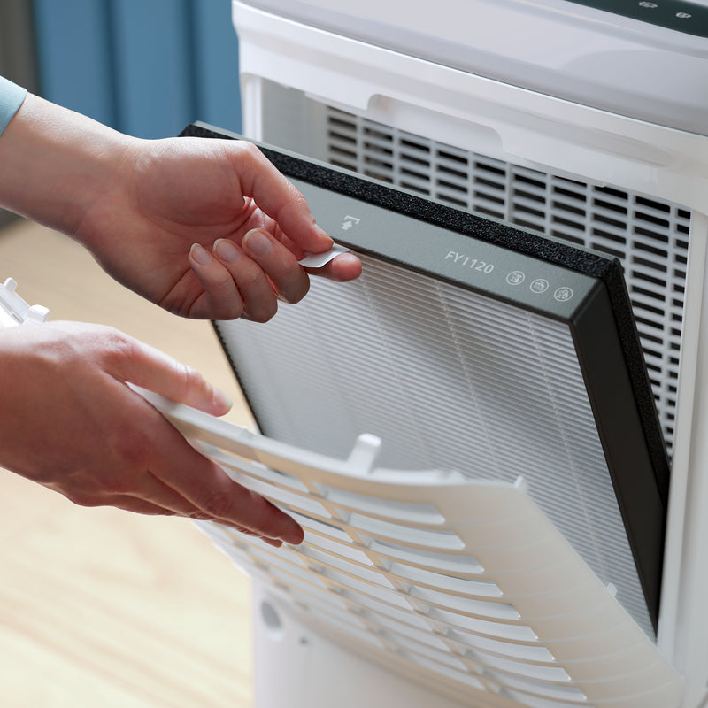 Philips  Dehumidifier DE5305/11