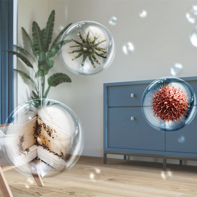 Philips  Dehumidifier DE5305/11