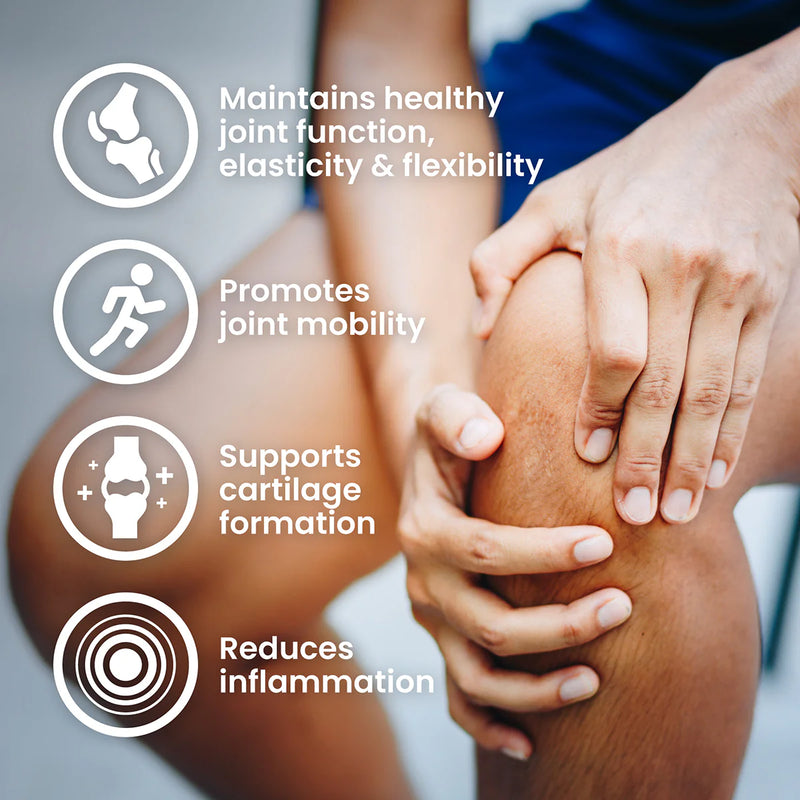 ULTRAVIT Glucosomine Chondroitin MSM 90 tabs