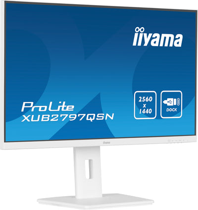 27’’ QHD IPS technology panel with USB-C dock and RJ45 (LAN)