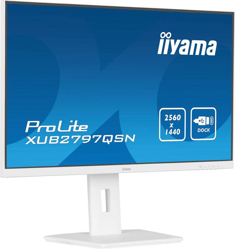 27’’ QHD IPS technology panel with USB-C dock and RJ45 (LAN)