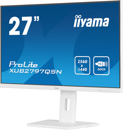 27’’ QHD IPS technology panel with USB-C dock and RJ45 (LAN)