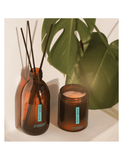 CDP kvepianti žvakė „Mint Basil“ 150 g.