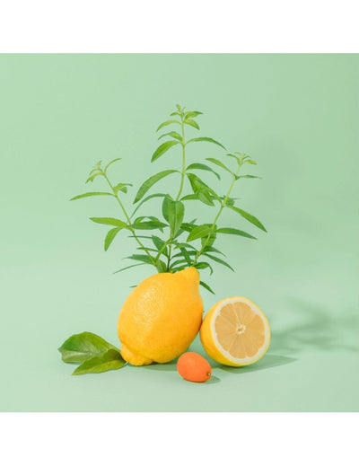 CDP Rankų kremas „Fresh Verbena“ 30 ml