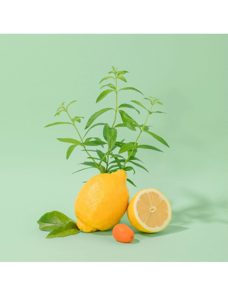 CDP Rankų kremas „Fresh Verbena“ 30 ml