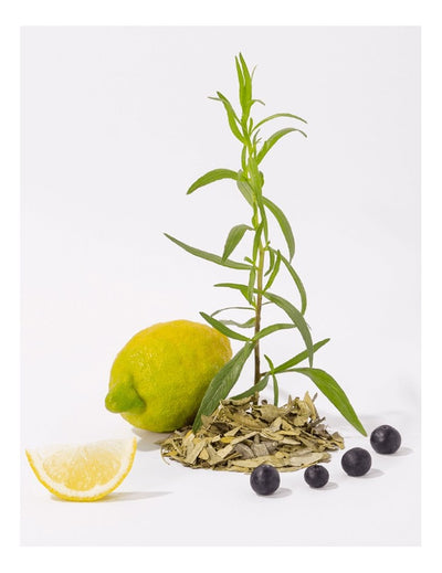 CDP Skysto „Marseille“ muilo papildymas „White tea“ 1 l