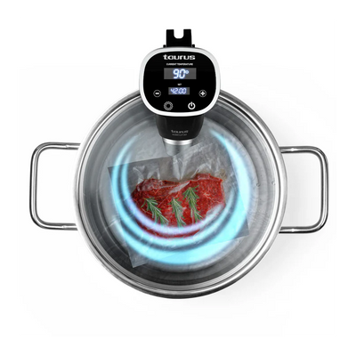 Cirkuliatorius Taurus Roner Clip TA917003000, 1200 W