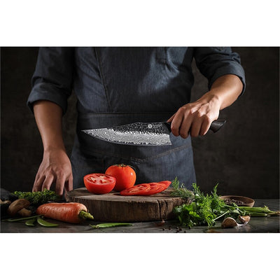 Damasko plieno peilis Kamazaki Chef Knife, KZ50KN, 22 cm