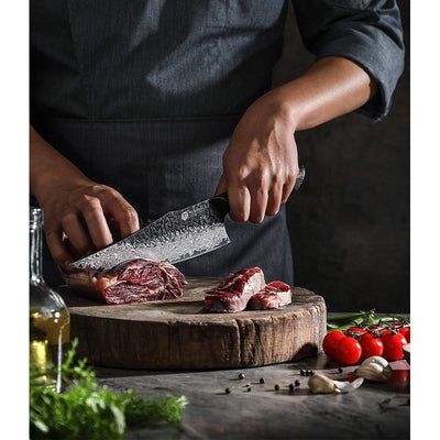 Damasko plieno peilis Kamazaki Chef Knife, KZ50KN, 22 cm