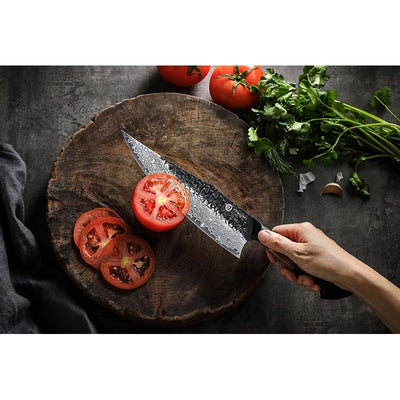 Damasko plieno peilis Kamazaki Chef Knife, KZ50KN, 22 cm