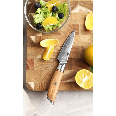 Damasko plieno peilis Kamazaki Paring Knife KZ40KN, 9 cm