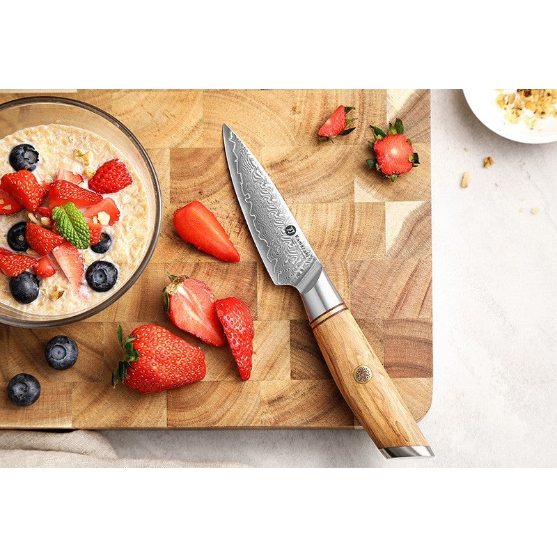 Damasko plieno peilis Kamazaki Paring Knife KZ40KN, 9 cm