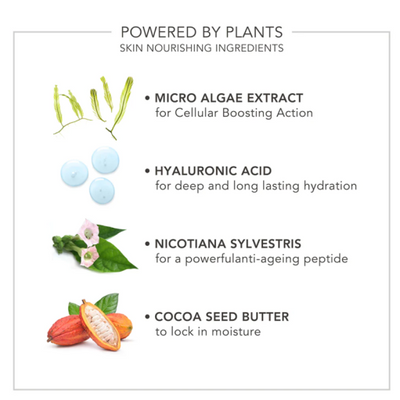 Delilah Wake Up Radiant Eye Perfector Paakių bazė - serumas 8ml