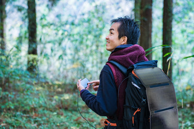 Денвер СОП-10200