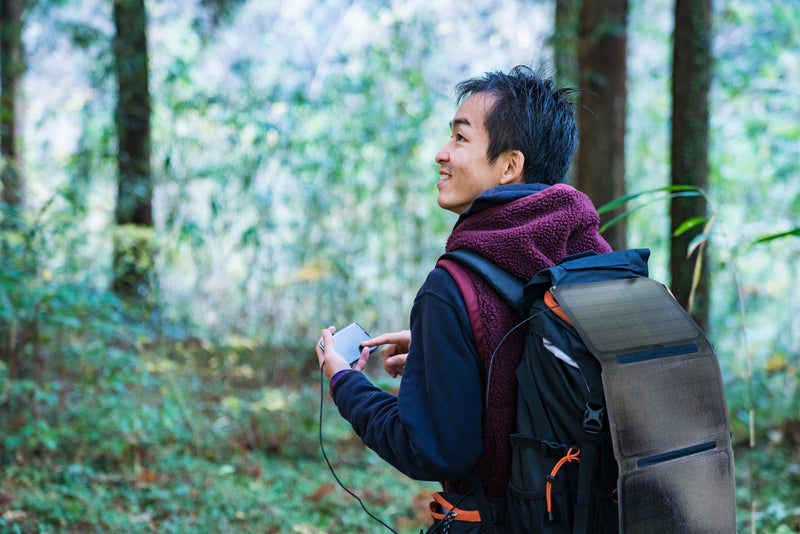 Денвер СОП-10200