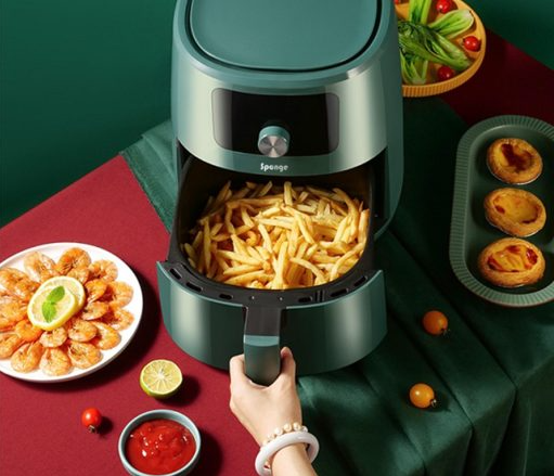 Sponge Air Fryer 6L