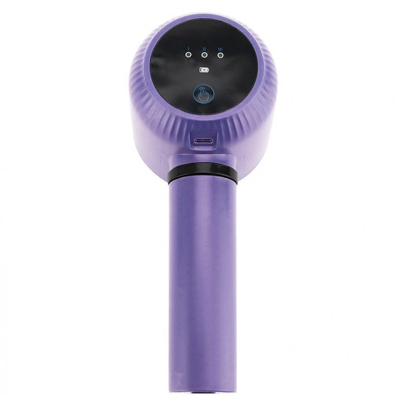 Įkraunamas plaktuvas Zyle, ZY4091PM, 20 W