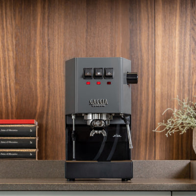 Coffee machine Gaggia Classic Evo Gray RI9481/16