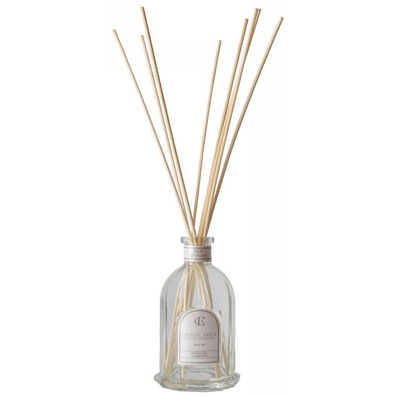 Home fragrance with sticks Erbolinea Excellence Fico D&