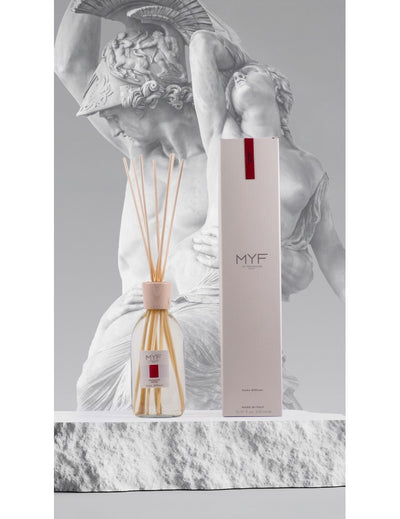 MYF home fragrance with sticks "Aromatic Wood" 250 ml.