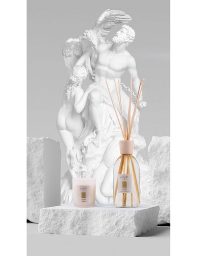 MYF home fragrance with sticks "Bamboo Leaves" 500 ml.
