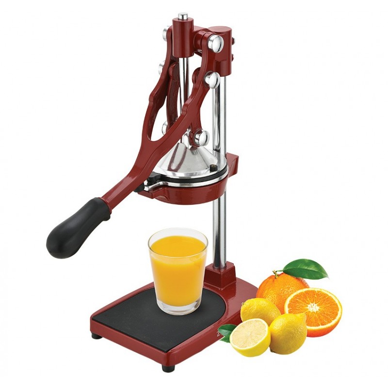 Profesionali daugiafunkcė citrusinių vaisių sulčiaspaudė ZYLE ZY503RCJ, raudona