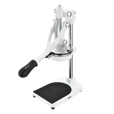 Profesionali daugiafunkcė citrusinių vaisių sulčiaspaudė ZYLE ZY503WCJ, balta