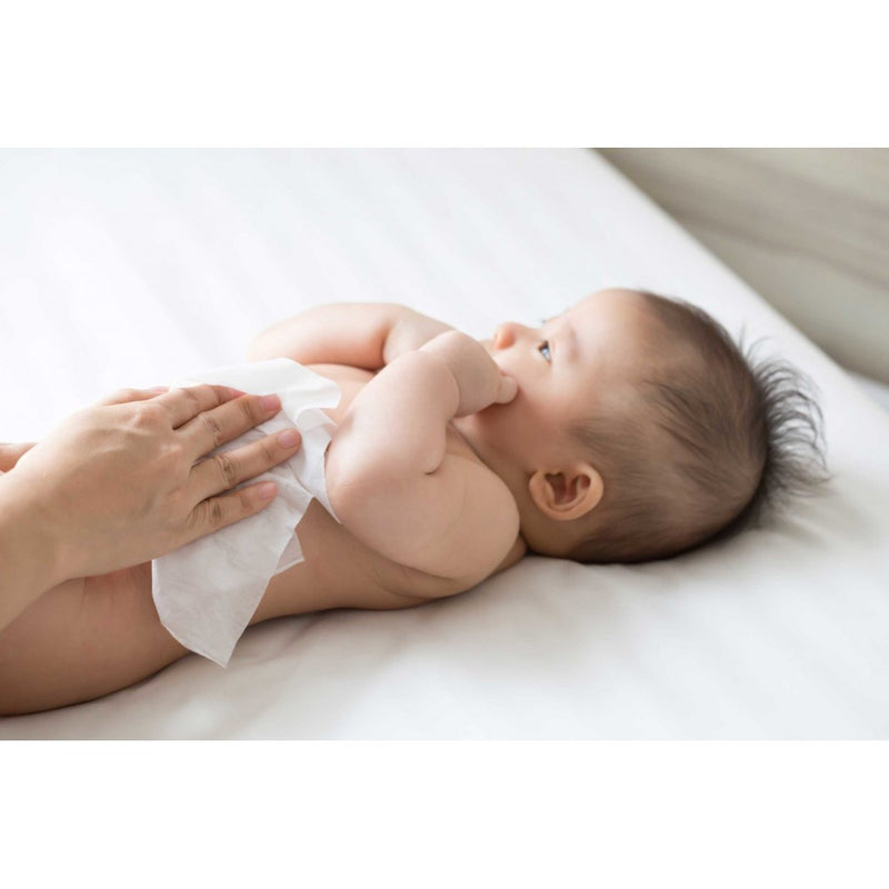 PURE BEGINNINGS kūdikių servetėlės su ekologišku alaviju, 64 vnt.
