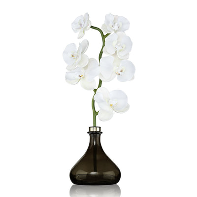 SENTI Орхидея Белые цветы 250 мл