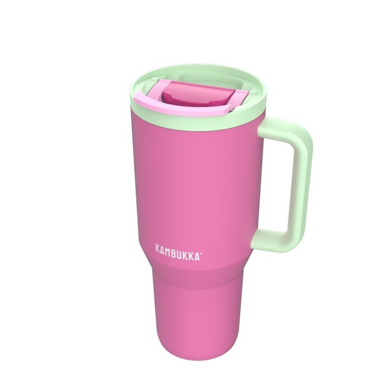 Termogertuvė Kambukka Rio Bubblegum Mint KAM11-08004, 950 ml
