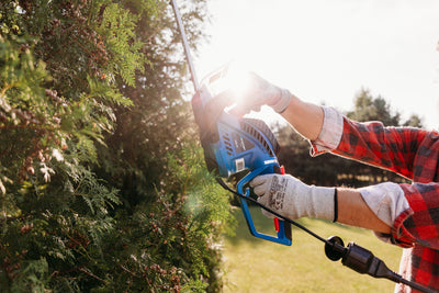 Blaupunkt HT6010 Hedge trimmer